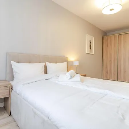 Executive By Bookinghost